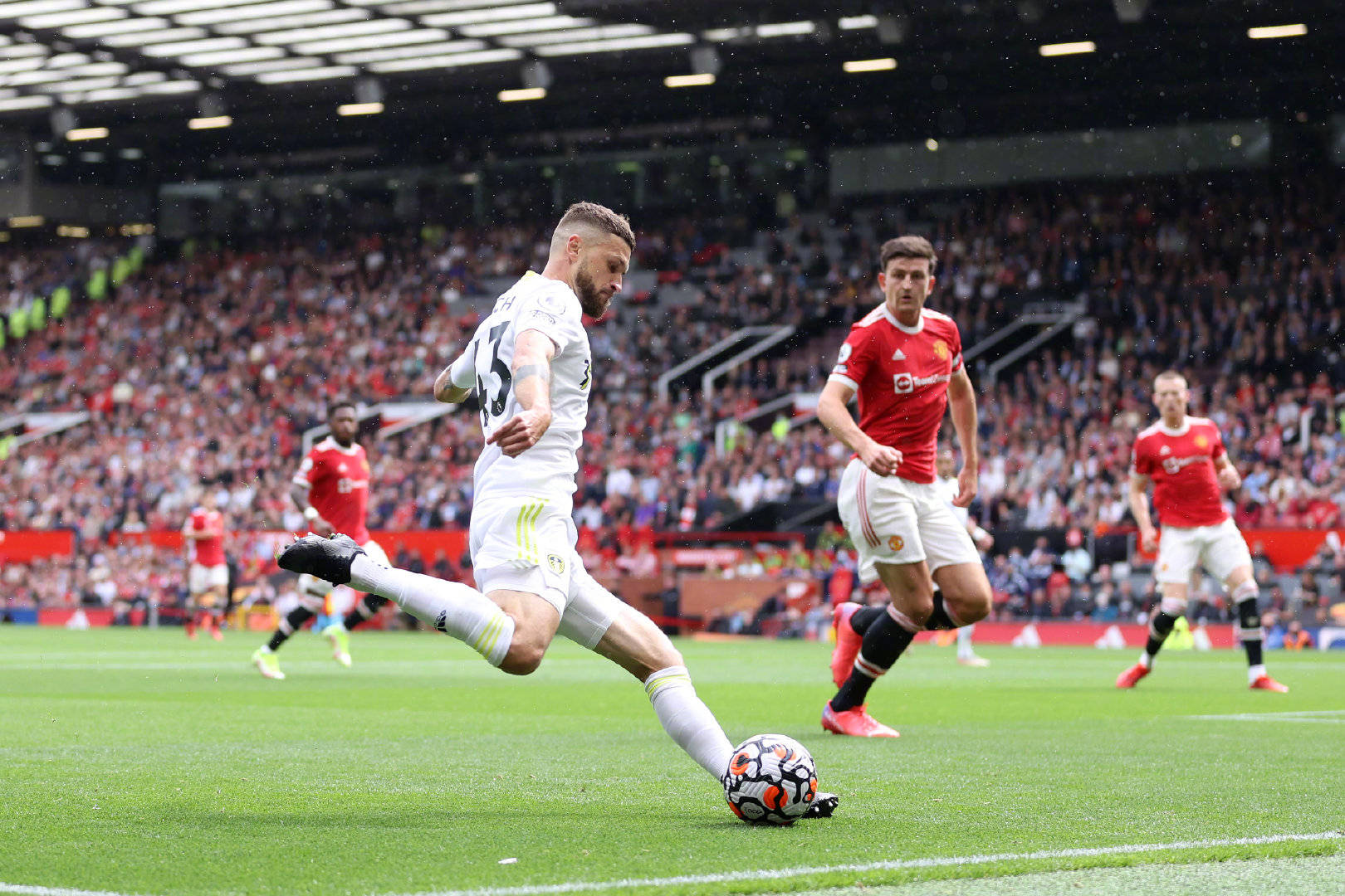 仅可能对皇 仅可能对皇